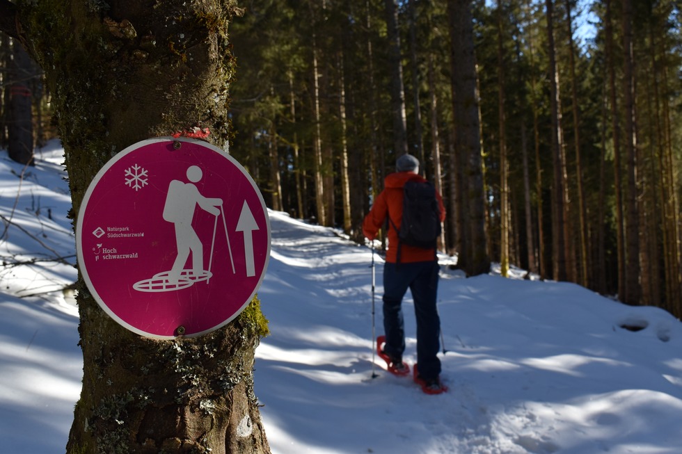 Schneeschuhtrail J�gersteig - Schluchsee