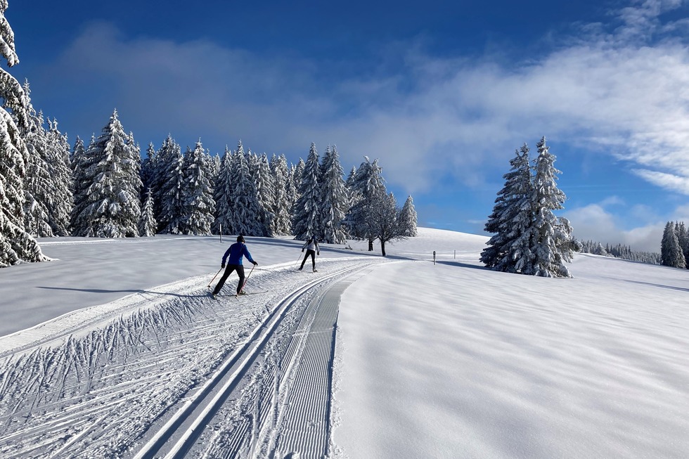 St�benwasenspur - Todtnau