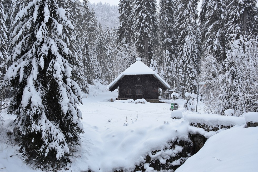 Langhalden-Loipe - Bernau
