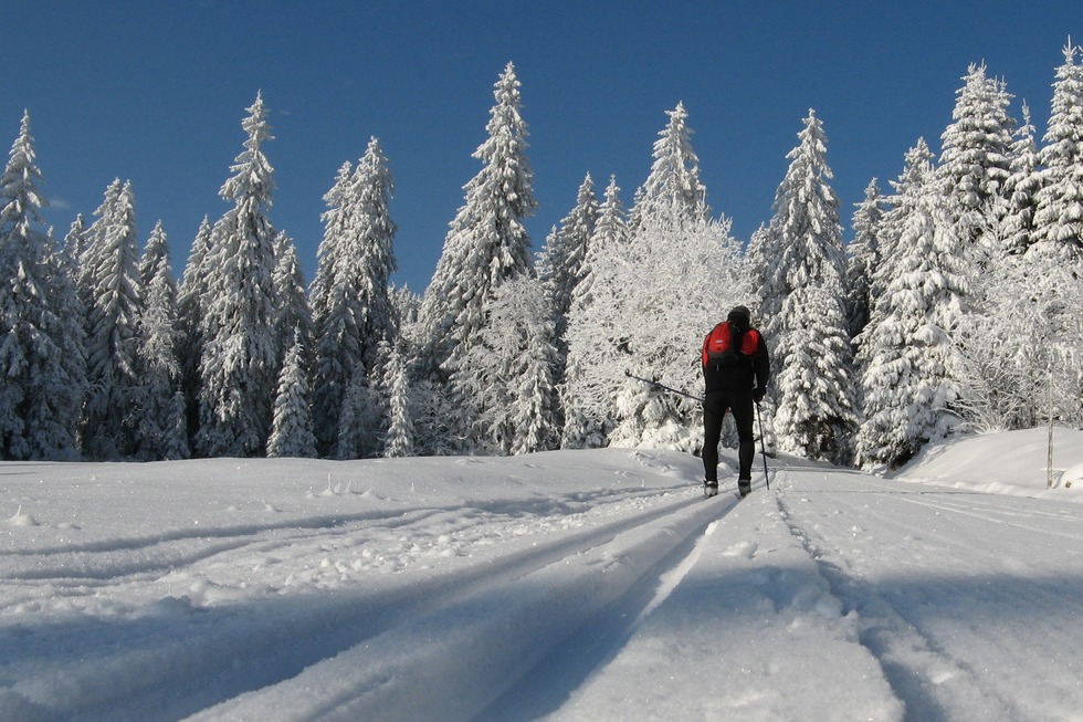 Panoramaloipe Martinskapelle - Furtwangen im Schwarzwald