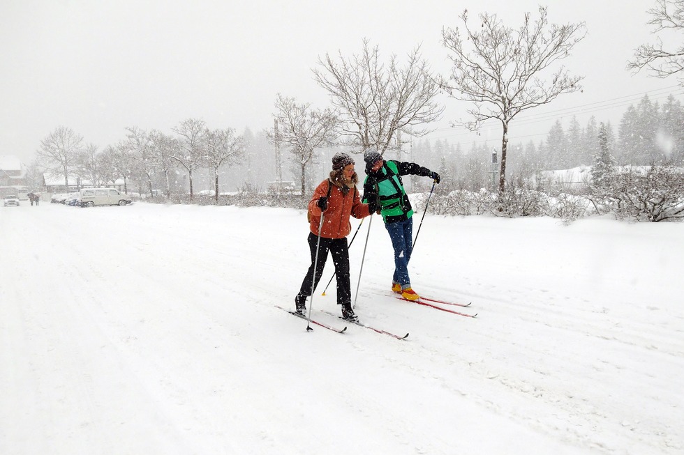 Hochmoorloipe - Hinterzarten