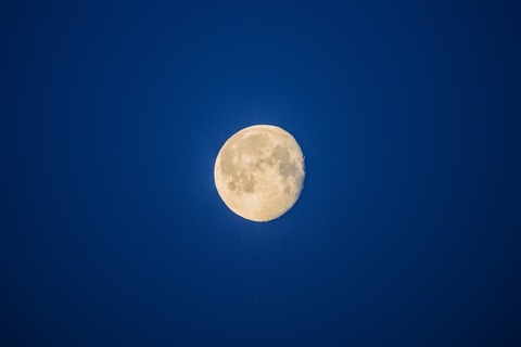 Mondscheinwanderung - Zum Jagdschloss Granitz - Binz - 30.04.2026 19:00