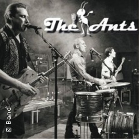 The Ants @ Ilvers - ERFURT - 28.11.2026 20:00