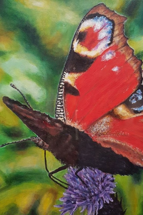 Die Sch�nheit der Insektenwelt - Freiburg - 23.01.2026 18:00