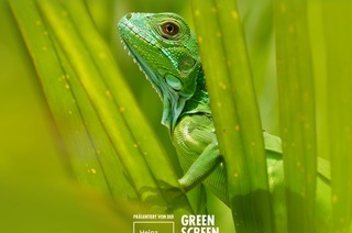 GREEN SCREEN TOUR 25/26