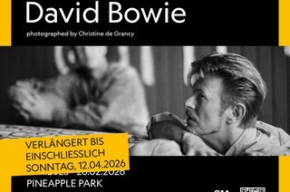 A Day with David Bowie - Tageskarte