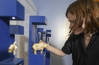 Im Arch�ologischem Museum Freiburg finden zwei Vortr�ge zur Erfindung der Kunst statt