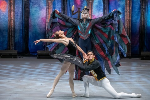 Schwanensee - jenseits der B�hne. Mit Streichquartett - Grand Classic Ballet - Wernigerode - 13.05.2026 20:00