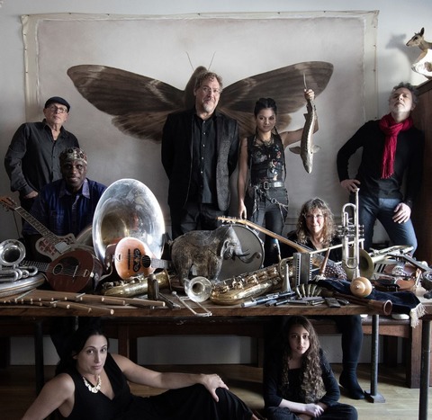 Hazmat Modine - N�rnberg - 26.05.2026 20:00