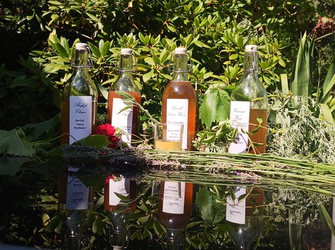 S�chsischer Wein und Weinelexiere - nach Rezepten von Hildegard von Bingen - Radebeul - 26.09.2026 11:30