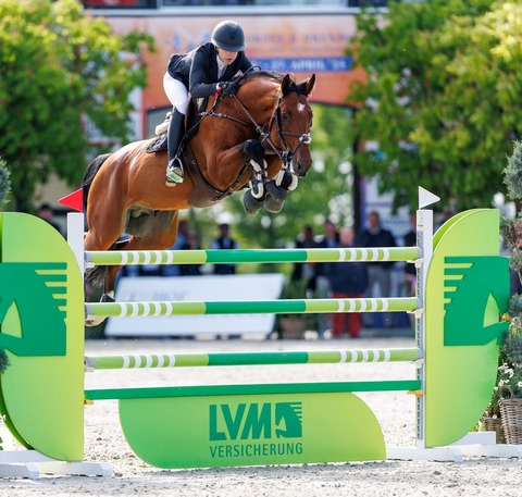 Horses & Dreams - Tagesveranstaltung Sonntag - Hagen am Teutoburger Wald - 26.04.2026 08:00