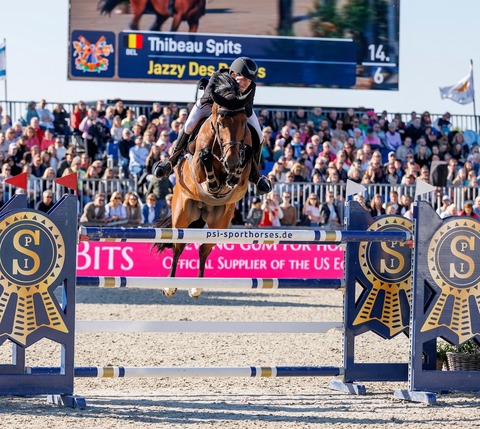 Horses & Dreams - Tagesveranstaltung Samstag - Hagen am Teutoburger Wald - 25.04.2026 08:00