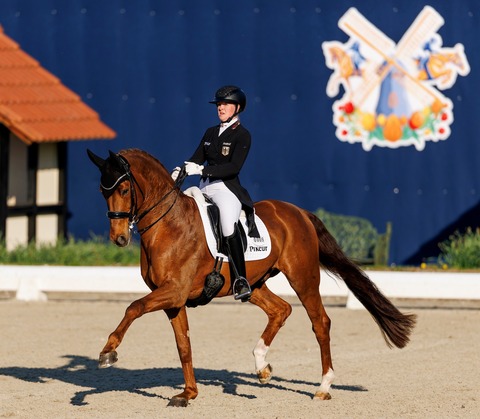 Horses & Dreams - Tagesveranstaltung Freitag - Hagen am Teutoburger Wald - 24.04.2026 08:00