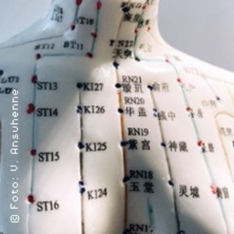 5 Elemente Meridian Dehnung - HAMBURG - 16.05.2026 10:00