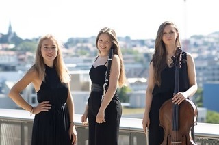 Preistr�gerkonzert Volksbank-Hochrheinstiftung