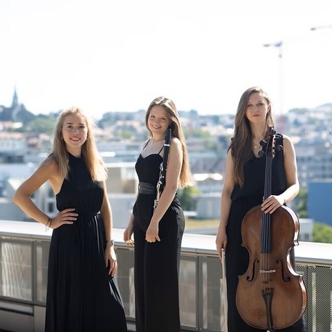 Preistr�gerkonzert Volksbank-Hochrheinstiftung - St. Blasien - 26.03.2026 19:30