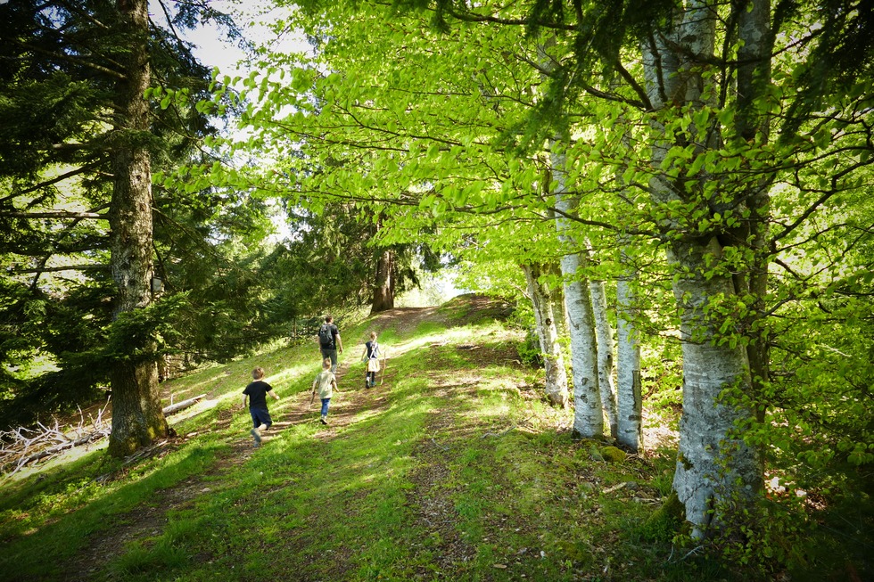 M�hlefelsenpfad - M�nstertal