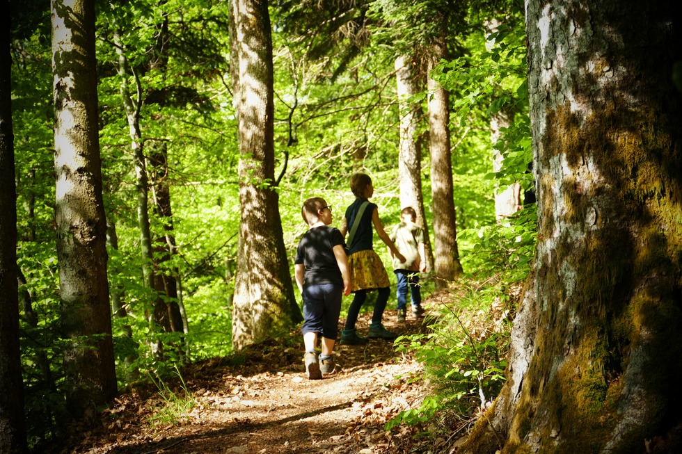 M�hlefelsenpfad - M�nstertal