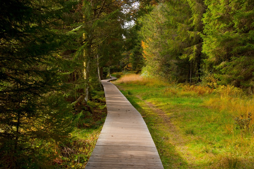 Lac de Lispach - La Bresse