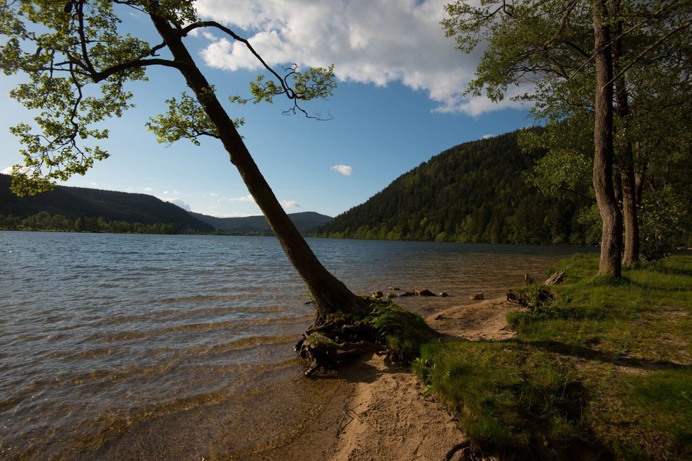 Lac de Longemer - Xonrupt-Longemer