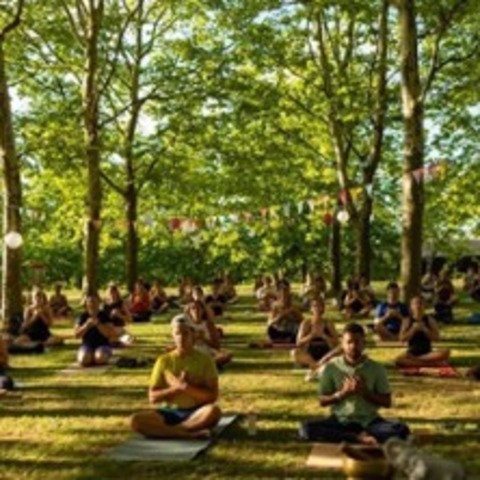 Yoga and Connect Festival 2026 - REGENSBURG - 20.06.2026 09:00