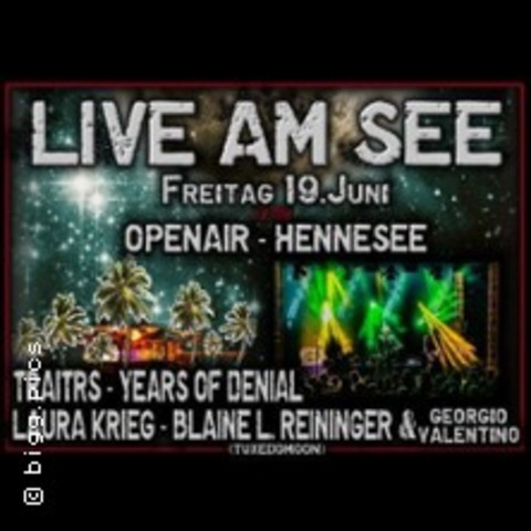 TRAITRS - Blaine L. Reininger/Tuxedomoon & Years of Denial & Laura Krieg - MESCHEDE - 19.06.2026 17:30