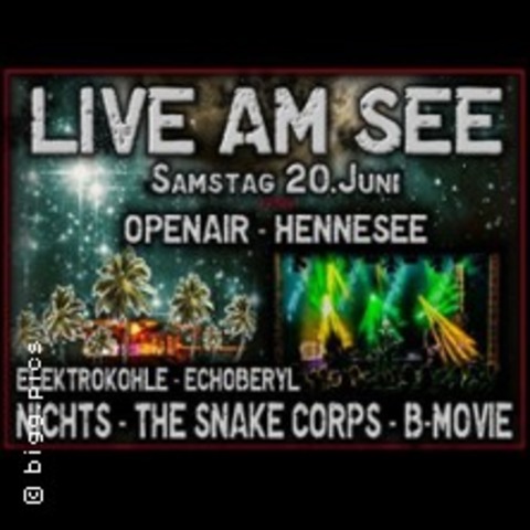 B-Movie - Nichts - Echoberyl & The Snake Corps & Elektrokohle - MESCHEDE - 20.06.2026 17:00