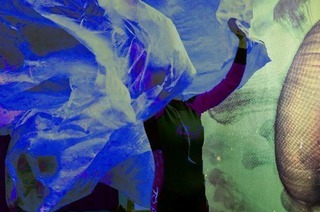 Oktopus - Eine Reise in die Tiefe