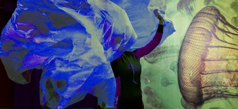 Oktopus - Eine Reise in die Tiefe - Freiburg - 20.03.2026 19:30