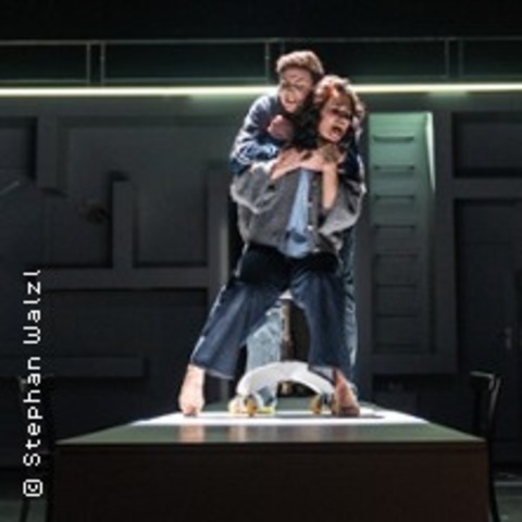 Next to Normal - OLDENBURG - 19.02.2026 19:30