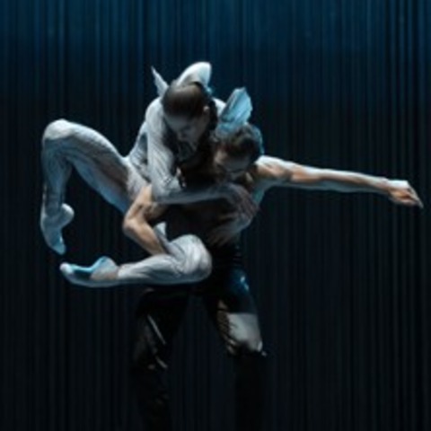 Schwanensee. Rotbarts Geschichte - HANNOVER - 28.03.2026 19:30