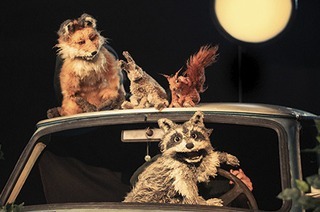 Theater Kuckucksheim - Tanz der Tiere