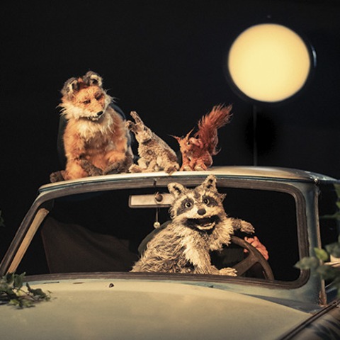 Theater Kuckucksheim - Tanz der Tiere - Freiburg - 16.10.2026 10:00