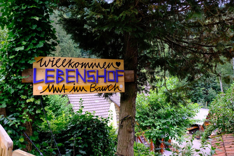 Lebenshof Mut im Bauch - Ottenh�fen im Schwarzwald
