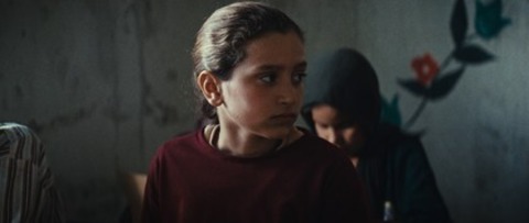 Ein Kuchen f�r den Pr�sidenten - Basel - 29.01.2026 11:15