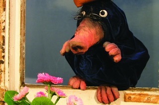 Vom kleinen Maulwurf, der wissen wollte, wer ihm auf den Kopf gemacht hat (ab 3 Jahren)