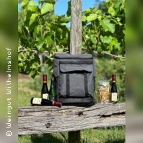 Erlebnistour Weinwanderung 2.0 - Frankweiler - 15.04.2026 13:00