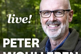 MUNDOLOGIA: Peter Wohlleben live - Das geheime Leben der B�ume, 28.01.2027
