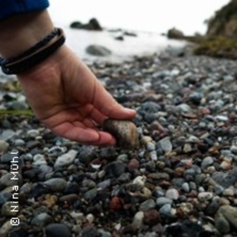 Geologische Strandf�hrung - INSEL POEL OT AM SCHWARZEN BUSCH - 13.07.2026 11:00