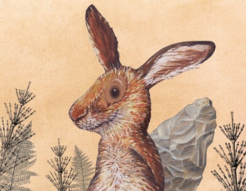 Gwunderhaas �Damit zerlegte man ein ganzes Mammut?!� - Liestal - 08.03.2026 13:00