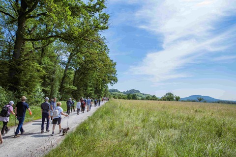 Maulbronner Kammerchor - Maulbronn - 01.08.2026 10:00