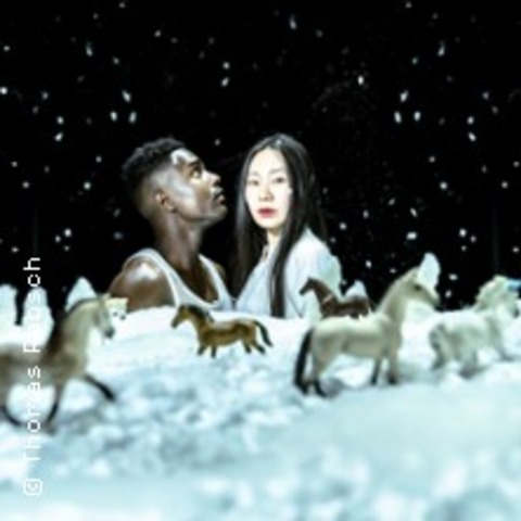 Der Schneesturm - D�SSELDORF - 13.03.2026 19:30