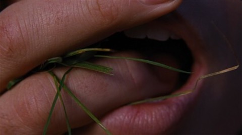 Wuthering Heights - Sturmh�he - Villingen-Schwenningen - 11.02.2026 19:45