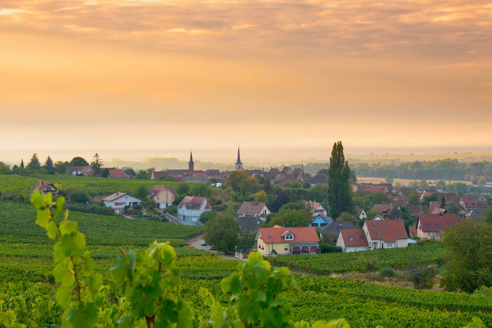 Mittelbergheim - Mittelbergheim