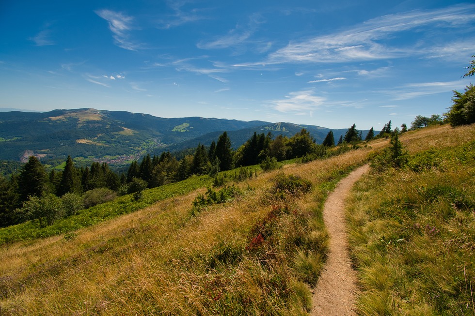 Ferme Schallern - Muhlbach-sur-Munster