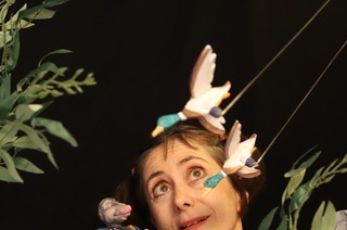 Der Wind in den Weiden