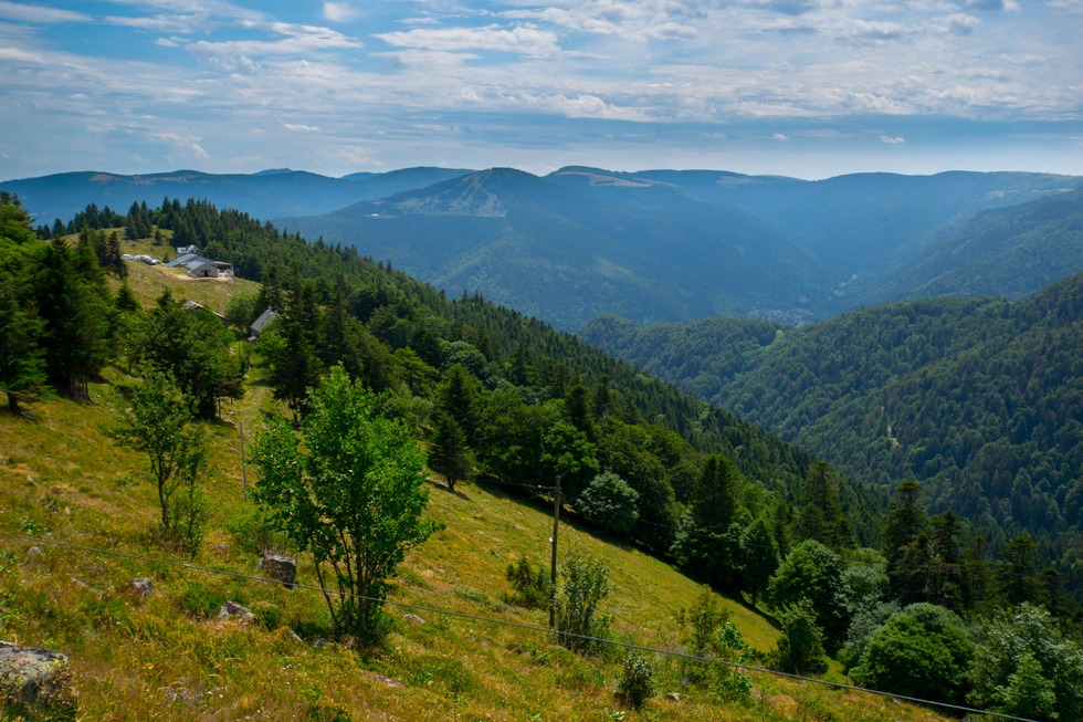 Ferme Auberge du Schiessroth - Muhlbach-sur-Munster