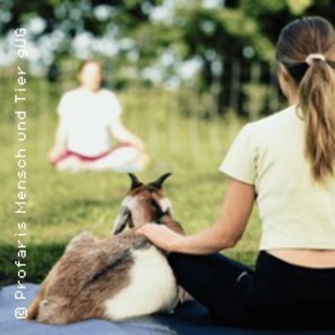 Yoga mit Schafen & Ziegen in der Natur - TELTOW - 23.08.2026 10:30
