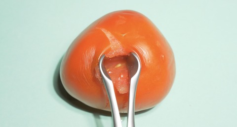 Turn The P/Age - Berlin - 21.03.2026 18:00