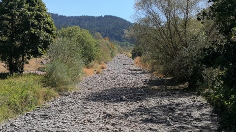 Klimawandel im S�dwesten - Freiburg - 27.02.2026 18:00